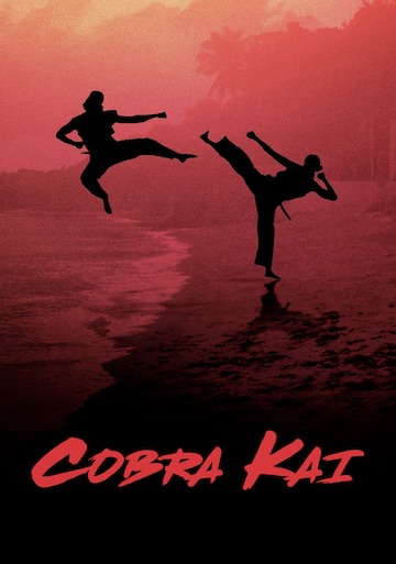 Cobra Kai Season 1 (S01) Subtitles (2020) | DOWNLOAD SRT | Stagatv